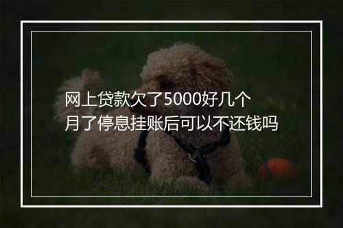 网上贷款欠了5000好几个月了停息挂账后可以不还钱吗