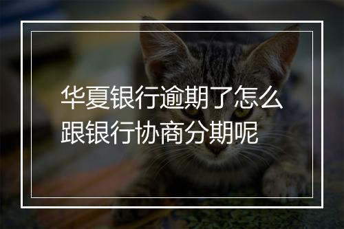 华夏银行逾期了怎么跟银行协商分期呢