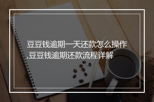 豆豆钱逾期一天还款怎么操作,豆豆钱逾期还款流程详解