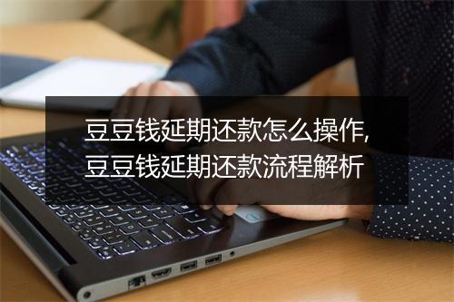 豆豆钱延期还款怎么操作,豆豆钱延期还款流程解析