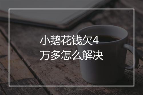小鹅花钱欠4万多怎么解决