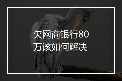 欠网商银行80万该如何解决