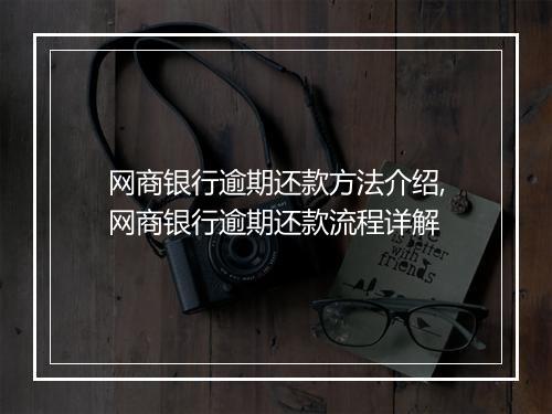 网商银行逾期还款方法介绍,网商银行逾期还款流程详解