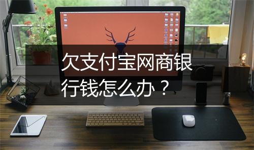 欠支付宝网商银行钱怎么办？
