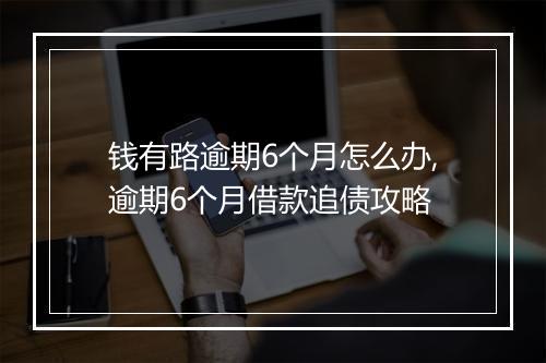 钱有路逾期6个月怎么办,逾期6个月借款追债攻略