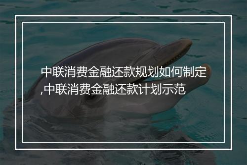 中联消费金融还款规划如何制定,中联消费金融还款计划示范