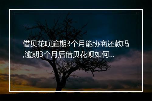 借贝花呗逾期3个月能协商还款吗,逾期3个月后借贝花呗如何还款