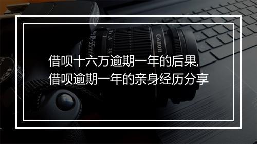 借呗十六万逾期一年的后果,借呗逾期一年的亲身经历分享