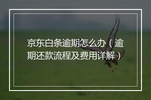 京东白条逾期怎么办（逾期还款流程及费用详解）