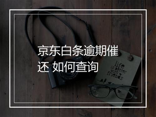 京东白条逾期催还 如何查询