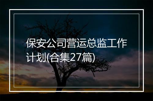 保安公司营运总监工作计划(合集27篇)