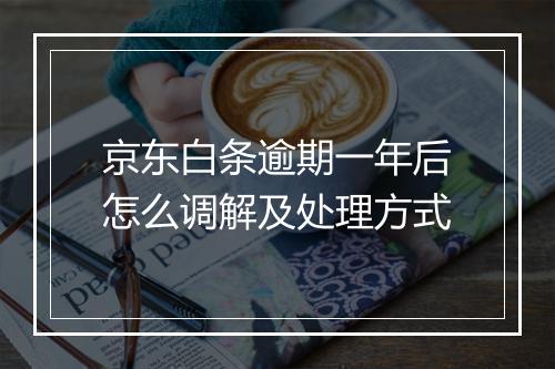 京东白条逾期一年后怎么调解及处理方式