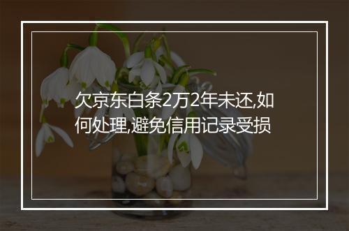 欠京东白条2万2年未还,如何处理,避免信用记录受损