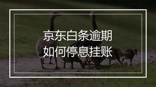 京东白条逾期如何停息挂账