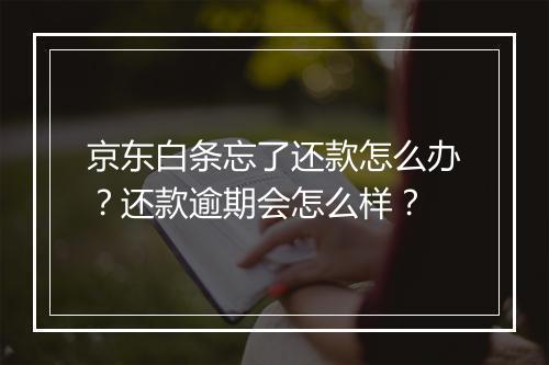京东白条忘了还款怎么办？还款逾期会怎么样？