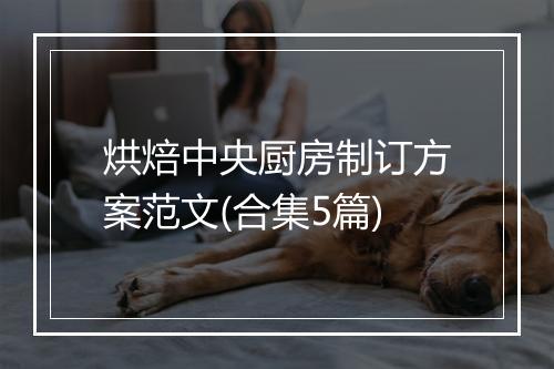 烘焙中央厨房制订方案范文(合集5篇)