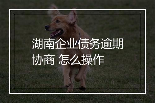 湖南企业债务逾期协商 怎么操作