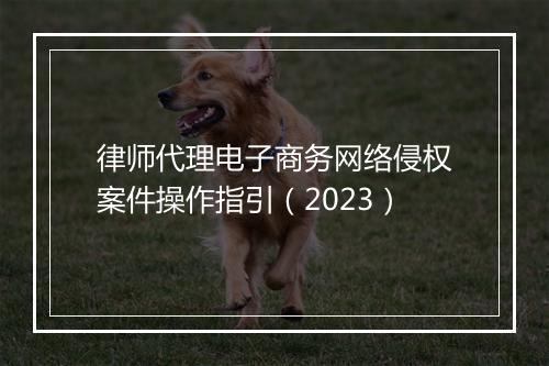 律师代理电子商务网络侵权案件操作指引（2023）