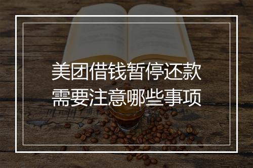 美团借钱暂停还款需要注意哪些事项