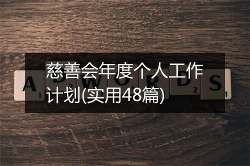 慈善会年度个人工作计划(实用48篇)