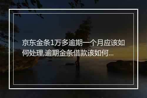 京东金条1万多逾期一个月应该如何处理,逾期金条借款该如何解决