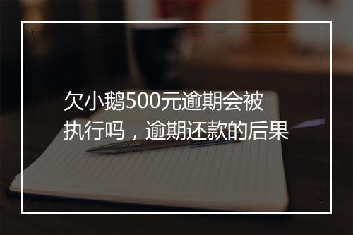 欠小鹅500元逾期会被执行吗，逾期还款的后果