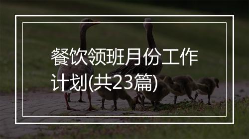 餐饮领班月份工作计划(共23篇)