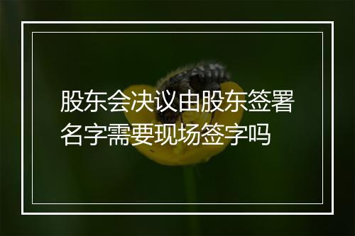 股东会决议由股东签署名字需要现场签字吗