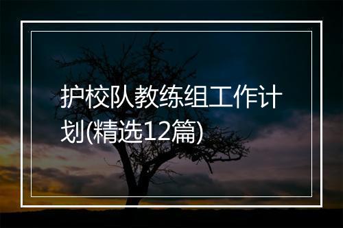 护校队教练组工作计划(精选12篇)