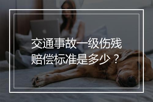 交通事故一级伤残赔偿标准是多少？
