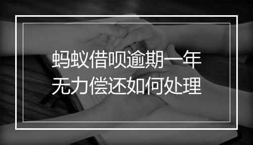 蚂蚁借呗逾期一年无力偿还如何处理
