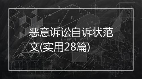 恶意诉讼自诉状范文(实用28篇)