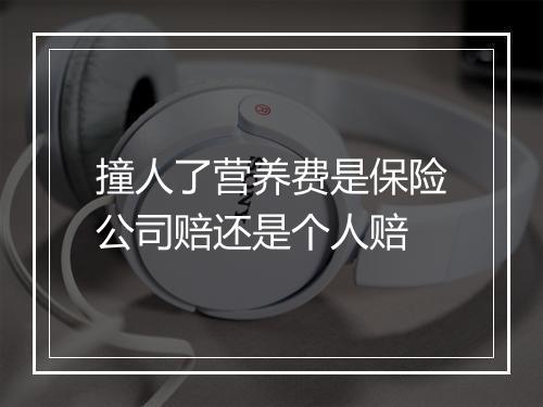 撞人了营养费是保险公司赔还是个人赔