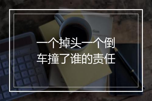 一个掉头一个倒车撞了谁的责任