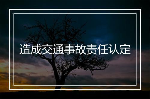 造成交通事故责任认定