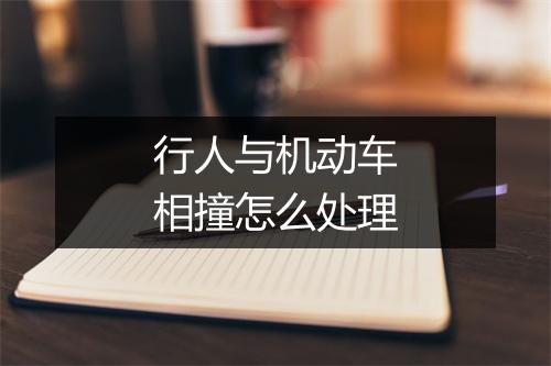 行人与机动车相撞怎么处理