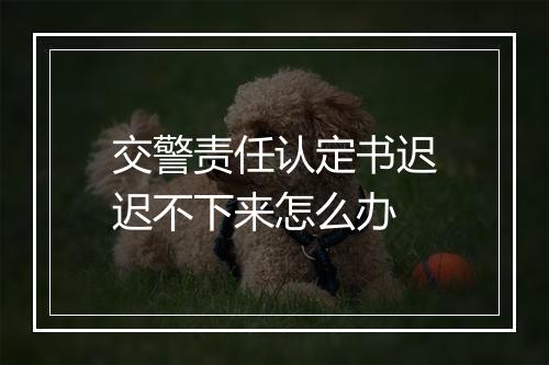 交警责任认定书迟迟不下来怎么办