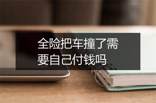 全险把车撞了需要自己付钱吗