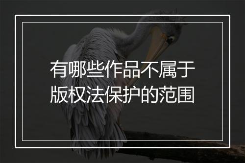 有哪些作品不属于版权法保护的范围