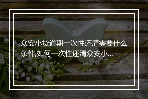 众安小贷逾期一次性还清需要什么条件,如何一次性还清众安小贷逾期款项