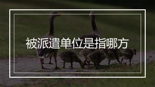 被派遣单位是指哪方