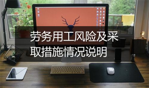 劳务用工风险及采取措施情况说明