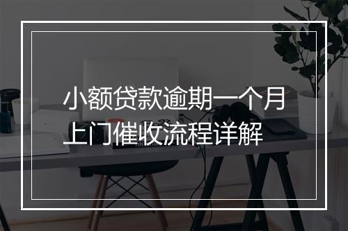 小额贷款逾期一个月上门催收流程详解