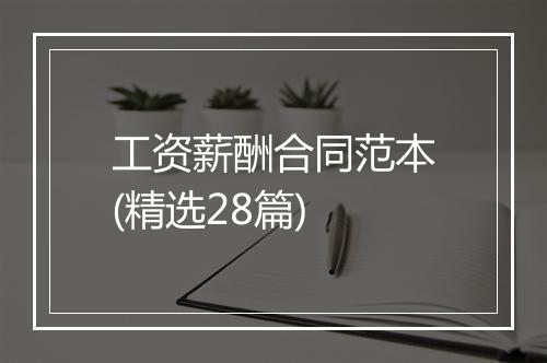工资薪酬合同范本(精选28篇)