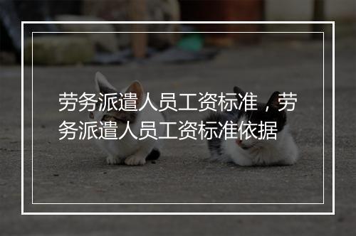劳务派遣人员工资标准，劳务派遣人员工资标准依据