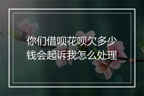 你们借呗花呗欠多少钱会起诉我怎么处理