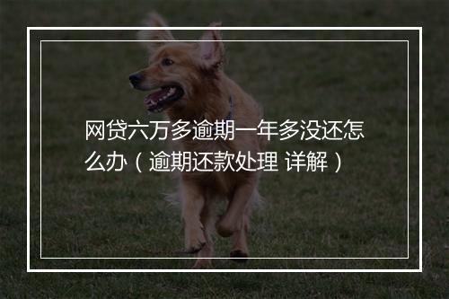 网贷六万多逾期一年多没还怎么办（逾期还款处理 详解）