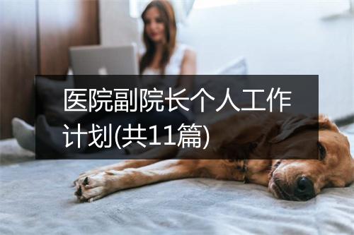 医院副院长个人工作计划(共11篇)