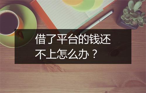 借了平台的钱还不上怎么办？