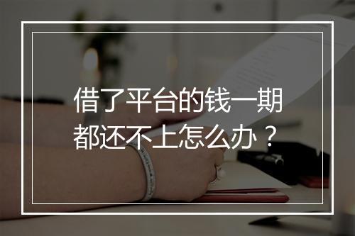 借了平台的钱一期都还不上怎么办？